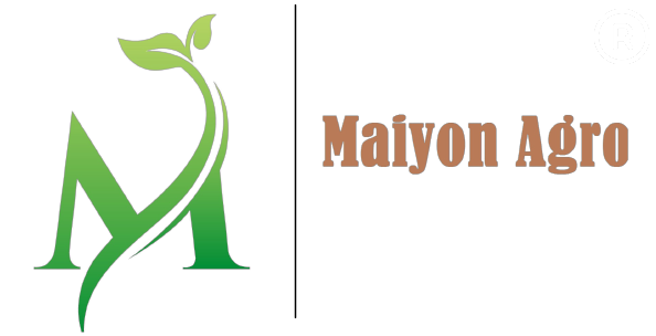 Maiyon Logo